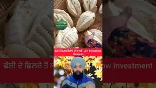 ਛੱਲੀ ਦੇ ਛਿਲਕੇ ਤੋਂ ਲੱਖਾਂ ਦੀ ਕਮਾਈ | Low Investment Business #healthxfacts