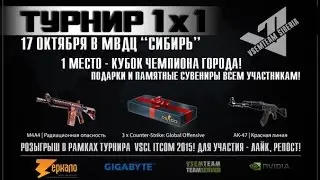 Розыгрыш скинов M4A4, AK47 и гифтов CS:GO от VSCL, www.VsemTeam.ru