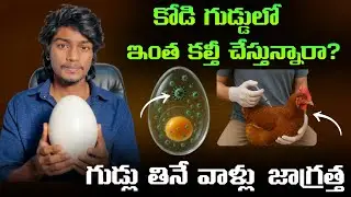 EGGOZ  🥚  ⚠️ CANCER 😲 | Egg Lab test issue 