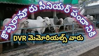 కొప్పరావూరు సీనియర్ పందానికి దేవభక్తుని సుబ్బారావు గారు | dvr memorials bulls at kopparavuru race