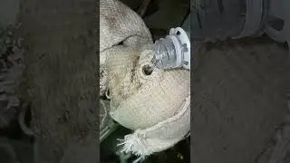 AUXILIARY BOILER FEED WATER PUMP