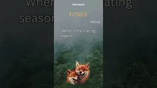 Fox fact 7 - When is the mating season for red foxes?