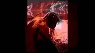 Sun of the Blind - Cursed Universe