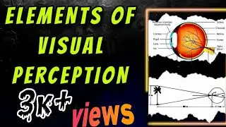 Elements of Visual Perception | Digital Image Processing | Lecture 4 | #engineerskaadda