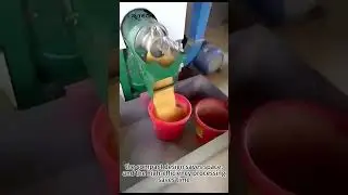 Rice Huller Machine In‑Field Demo #machine