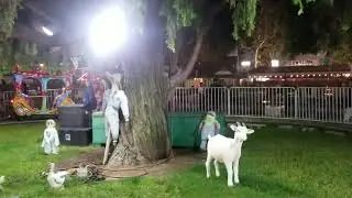 Fair rides! LA County Fair 2018