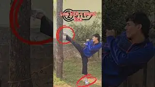 2 powerful kicks combo tutorial 😤✊#lavishbisht #martialarts #kamleshchoudhary #taekwondo #mma#shorts