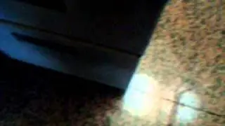 DSCF1039