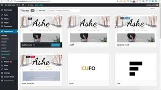 How to Check wordpress Theme Version