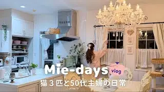 Day Vlog of a 50s Homemaker with 3 Cats｜Cozy Home Life
