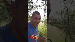super vivencia urbana-sentaos en las butacas empieza el cine basure&ntilde;o.