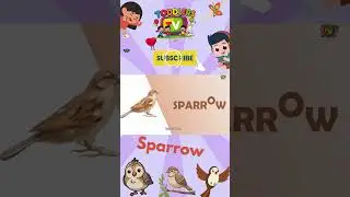 How to Spell Sparrow | Learn Bird Names in English | English for Kids  #toddlerstv #birdsnameenglish