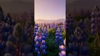 Para 2 Quran Translation 8 Peaceful Nature Background | Short Video