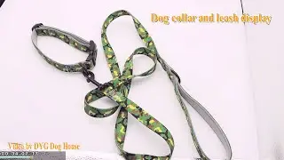 Dog collar and leash green-Customized Item