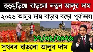 আজকের আলুর বাজার মূল্য/india potato news West bangal/Potato price today west bengal