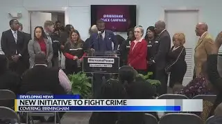 Birmingham increase peace campaign