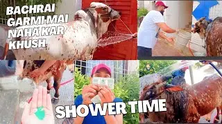 Shower Time |  Bachrai Garmi m Naha kar khush hogai😍 ( Mirpur khas ka bhatreen soda )
