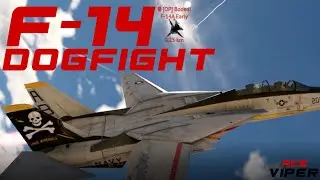 Using Ace Combat Maneuvers In The F-14 | Viper