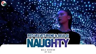 MALE VERSION | Red Velvet IRENE & SEULGI - Naughty