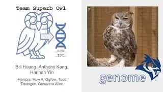 Toward the First Complete Reference Genome Assembly of Sammy the Great Horned Owl