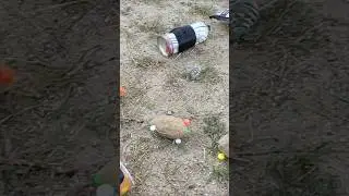 Fishing Bait & Fishing Setup 🎣 Fishing Spot 🎣 Best Youtube video | Amazing Fishing #fishing #shorts
