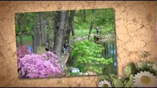 TROUT OF LITTLE SHAMOKIN CREEK