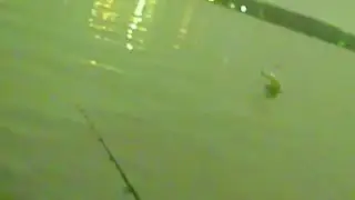 【雨上がりのベイトざわざわ！】涸沼夜のシーバス　久しぶりのトップ祭りか！？いえ誤爆祭りでした・・・　一つは入れておいて損はないルアー【それならトップでしょ！】