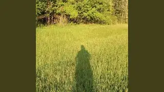 How I got better