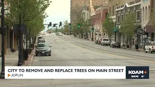 Joplin to remove and replant trees on Main Street