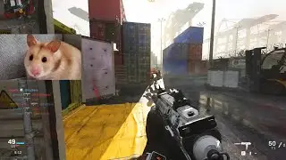 Hamster Plays Modern Warfare