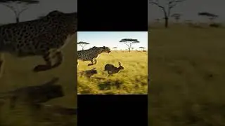Leopard  vs Rabbit :who will win ?    #shorts #leopard