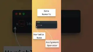 How to Create Numerical Data in R  #rprogramming #rprogrammingforbeginners #coding #programming