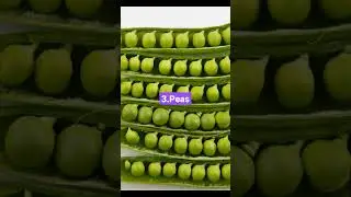 Ranking The Top 5 Vegetables #shorts #vegetables #vegetable #veggies