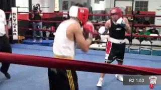 Old Dog Boxing