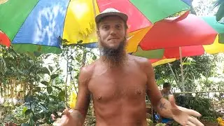 Moksa Farmers Market Ubud Bali