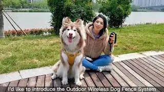 How to use Petdiary F810 Plus GPS Wireless Electric Dog Fence System