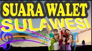 SUARA WALET SP SULAWESI