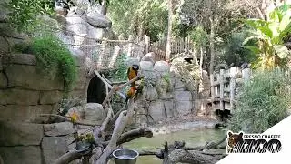 Tropical Rainforest At Fresno Chaffee Zoo