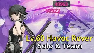 50k Havoc Rover DMG in Open World - Solo & Team - Wuthering Waves