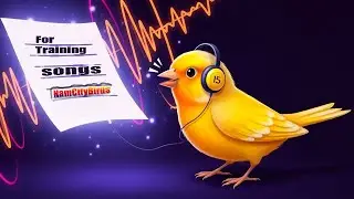 Repetition audio for young canaries, canary singing training male, Canaries Song, Birds sound