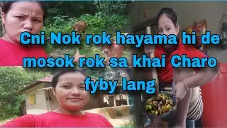 Pushu roksa c bosano hajak liya hikhe bah munuiso rok bah hajakya Og by kaha||Barsha O official vlog