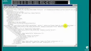 OSIsoft: Import/export AF objects using XML with the AFImport and AFExport utilities. v2010