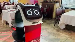 BellaBot Robot Waitress at Lilya’s Restaurant & Grill Cafe Gourmand Staten Island New York