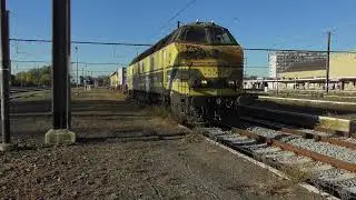 NMBS SNCB | HLD 55 | Infrabel / TucRail | Sandite Trein | Anno 2017 | Dendermonde Station | GM EMD