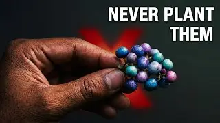 ​18 Most Dangerous Garden Plants You Should Never Plant