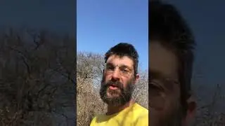 Controllo Api prima della partenza per il ciliegio🐝💪🤞