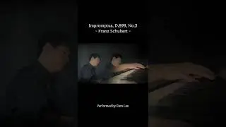 Schubert - Impromptu, D.899, No.3 (Shorts1) #schubert #impromptu #piano