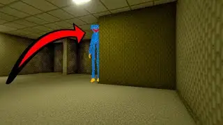 the secrets of the backrooms (found huggy)