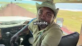 🐆 Incredible Leopard Sighting Alert! 🐆