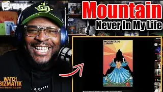 Riff Just Hit Me Like a Truck&hellip; 🤯🔥 | Mountain &ndash; Never In My Life | REACTION/REVIEW